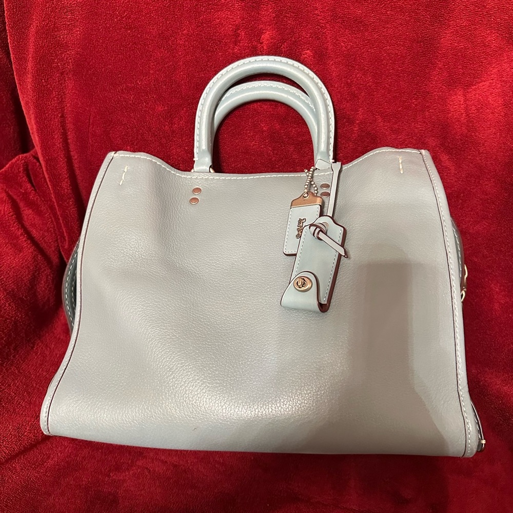 Coach Rogue 31 Sky Blue with Oxblood Lightning